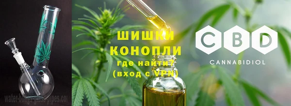 кокс Дмитриев