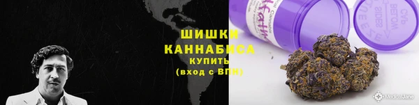кокс Дмитриев