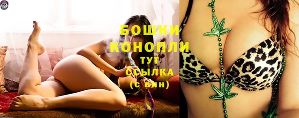 кокс Дмитриев
