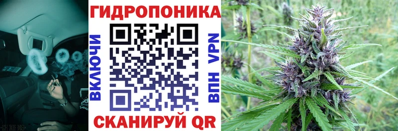 Бошки марихуана планчик  Туапсе 